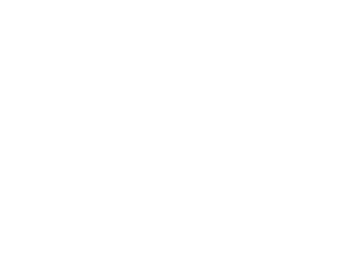 logo Auberge de Larressingle